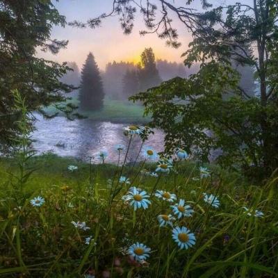 3D曲道赛车无敌版